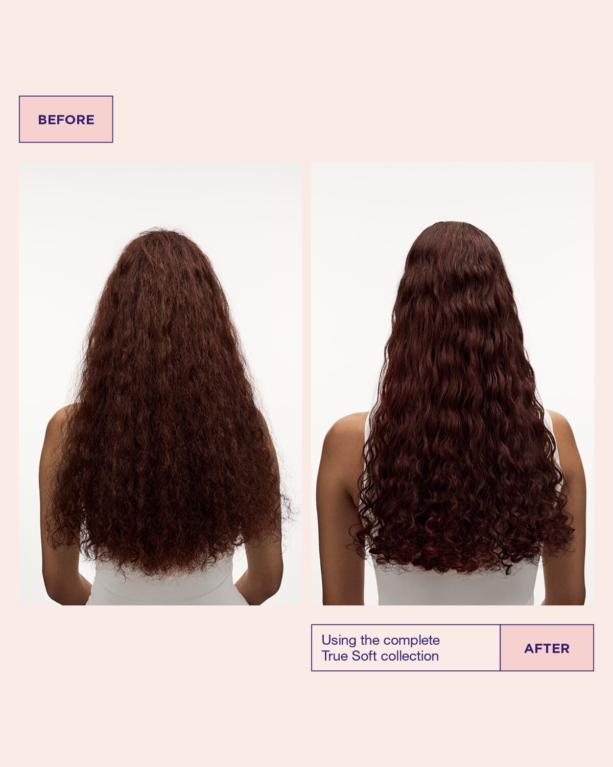 True Soft shampoo for dry hair