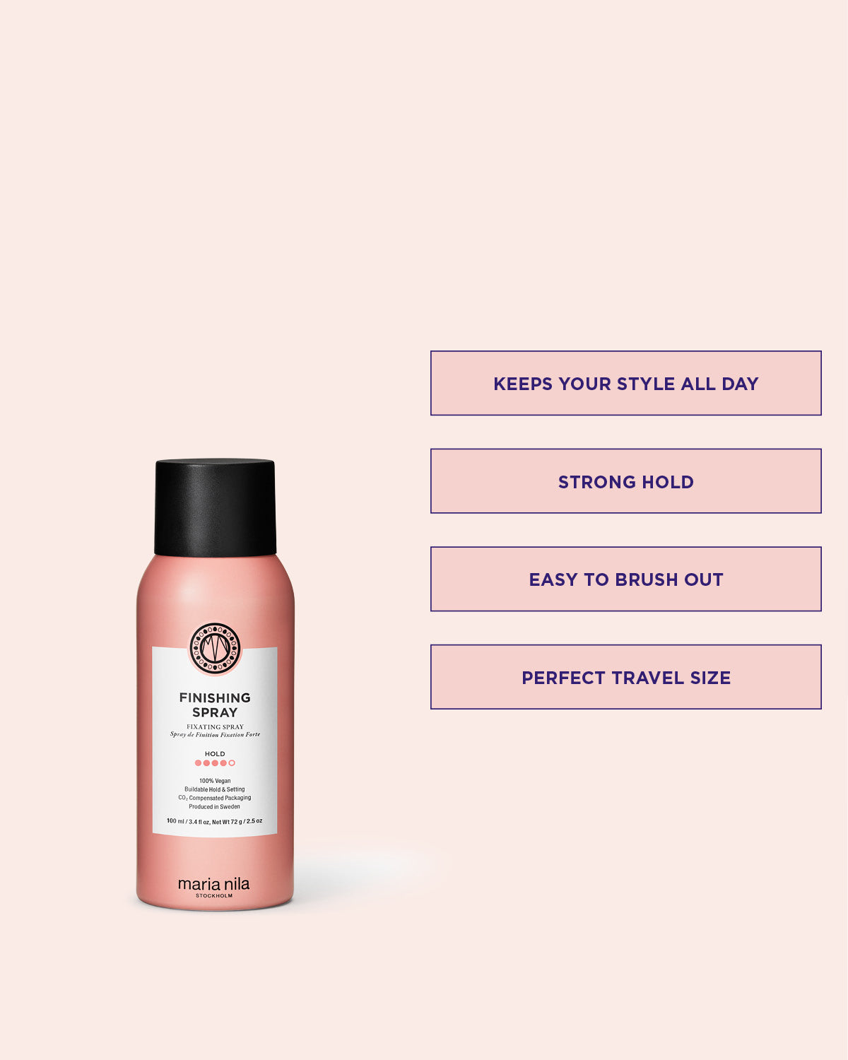 Finishing Spray 100ml